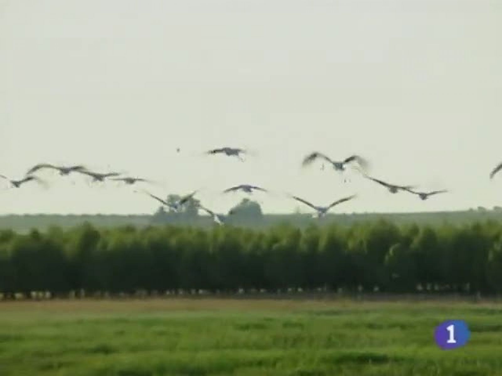 Noticias de Castilla La Mancha. Informativo de Castilla La Mancha. (12/04/2011)