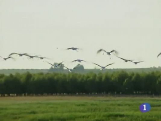 Noticias de Castilla-La Mancha - Noticias de Castilla La Mancha. Informativo de Castilla La Mancha. (12/04/2011)