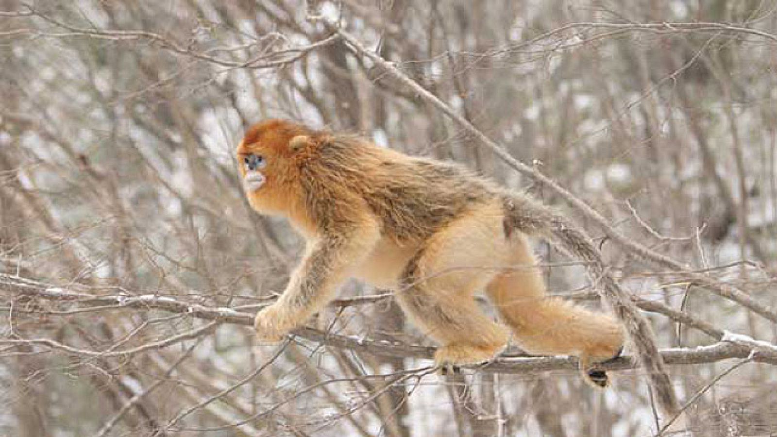 On Off: ¡Hora de comer! - On Off | Ver