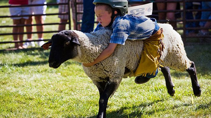 On Off - Los primeros pasos de un cowboy