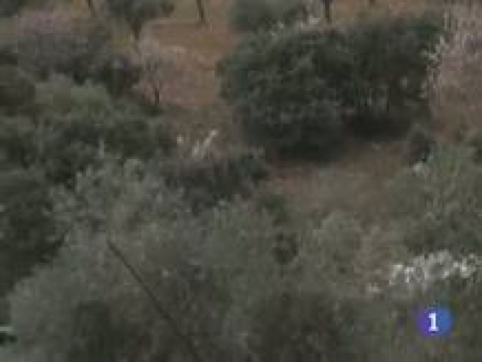 Noticias Castilla La Mancha en 2'  (13/04/2011) | Ver