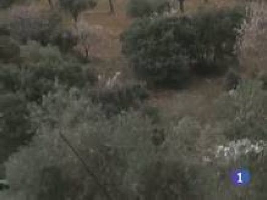 Noticias de Castilla-La Mancha - Noticias Castilla La Mancha en 2'  (13/04/2011)