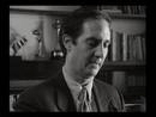 Cultura en Rtve.es - Trailer de 'La vida útil'