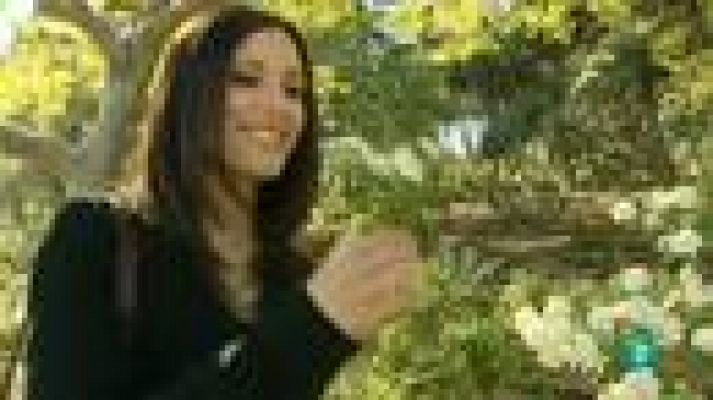 Para todos La 2 - El Aikido