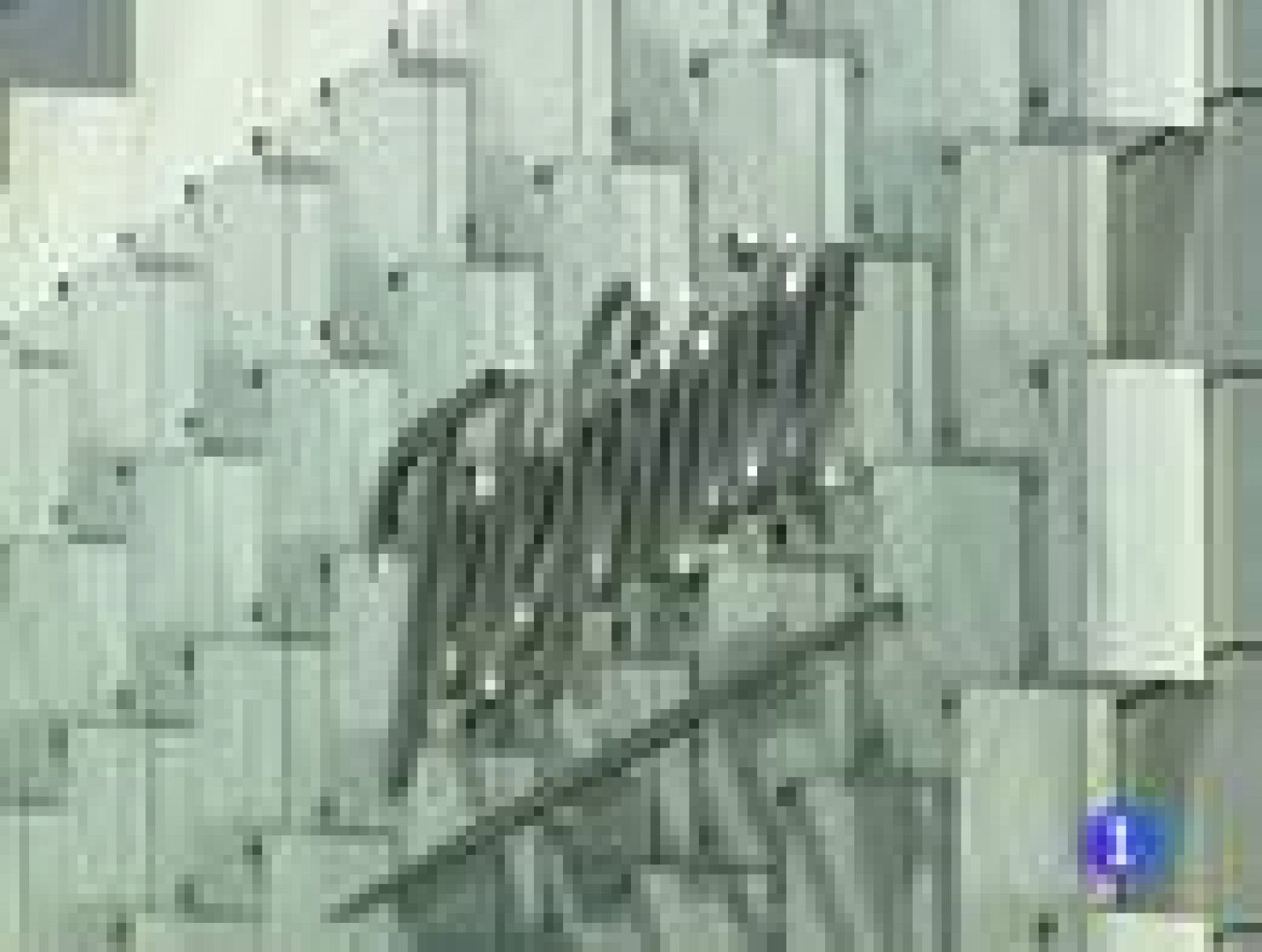 Importante reducción de trabajadores de telefónica