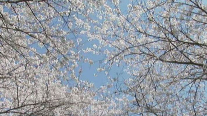 El tiempo - La Semana Santa se complica