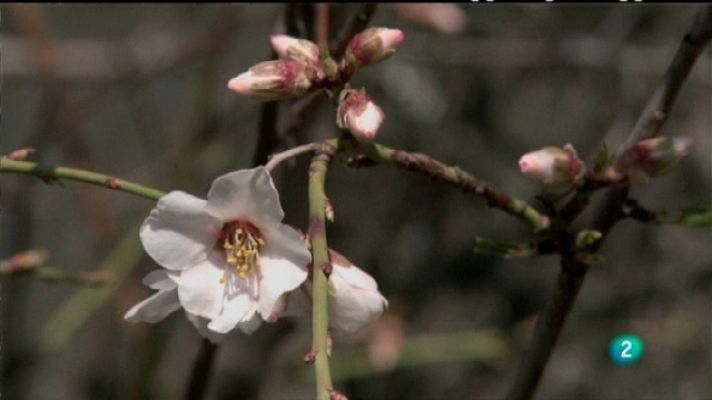 Biodiario - Biodiario - 15/04/11