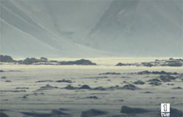  - Petróleo en el Ártico