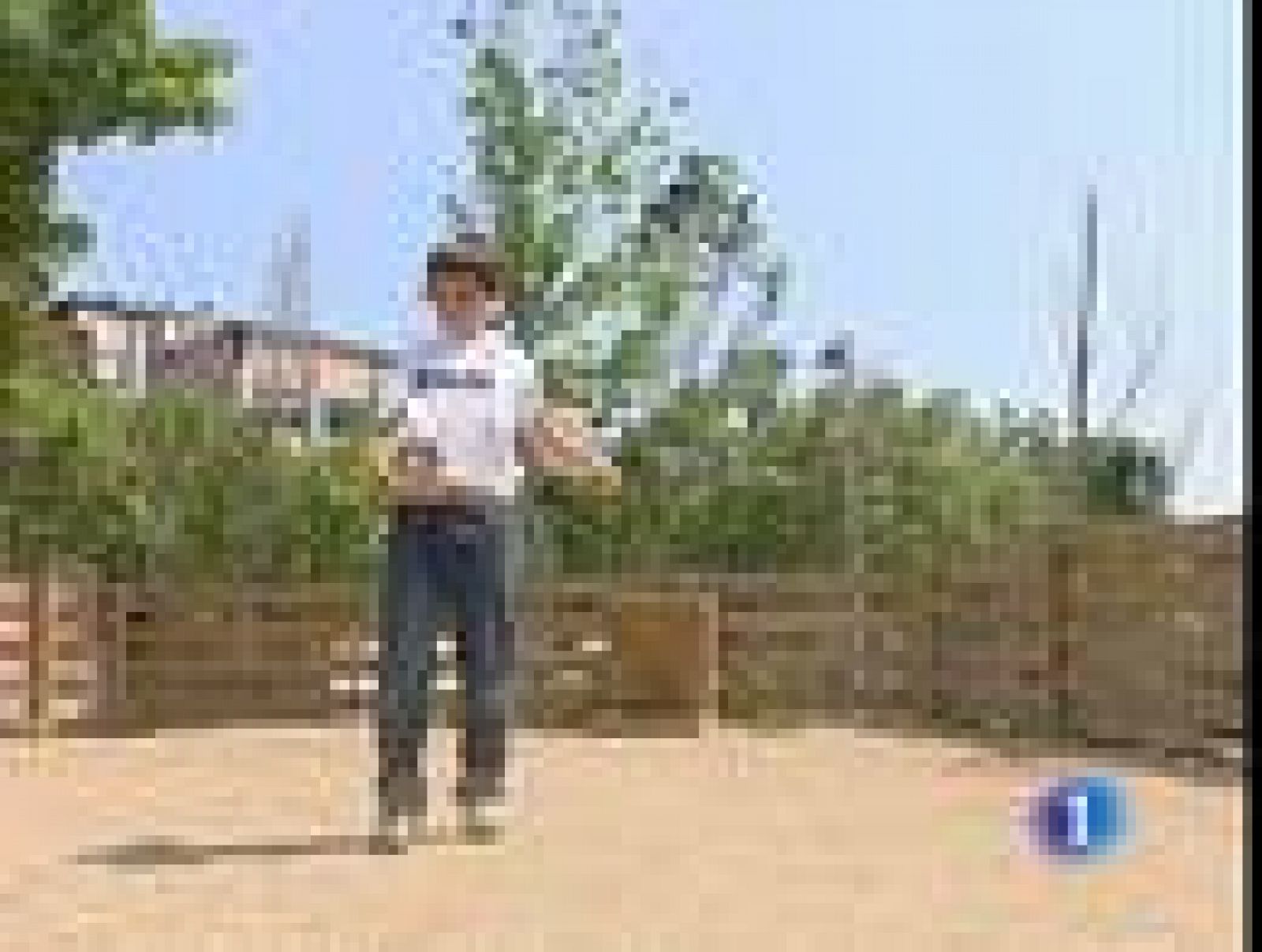 Los niños eligen su equipo | Ver