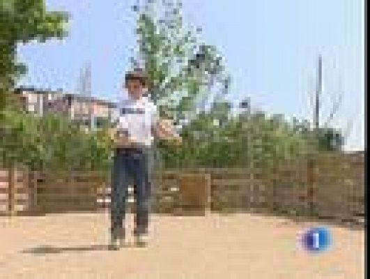 Telediario 1 - Los niños eligen su equipo