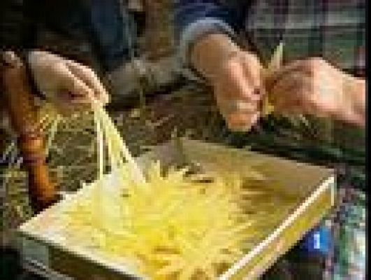 Telediario 1 - Fábrica de palma en Elche