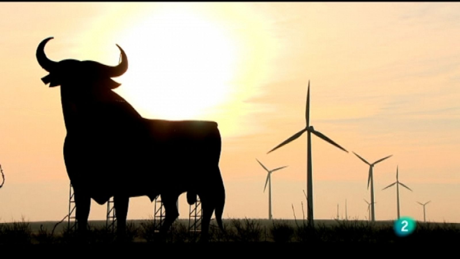 Naturalmente - La fuerza del viento - Naturalmente | Ver