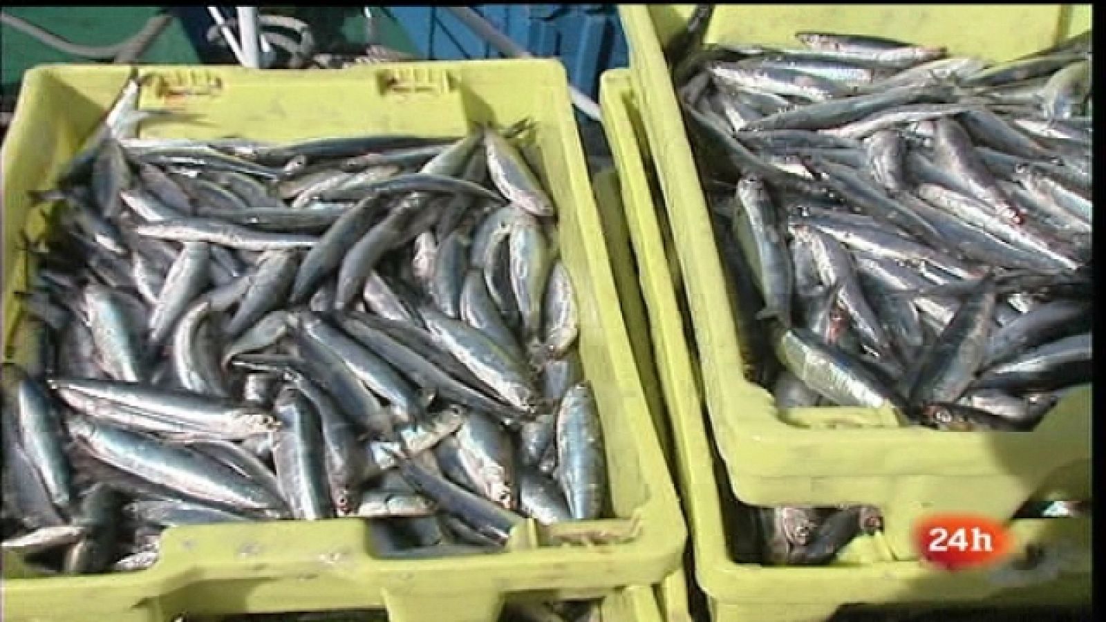 España en 24 horas - Las primeras procesiones de esta Semana santa y otras noticias de las Comunidades autónomas -18/04/11