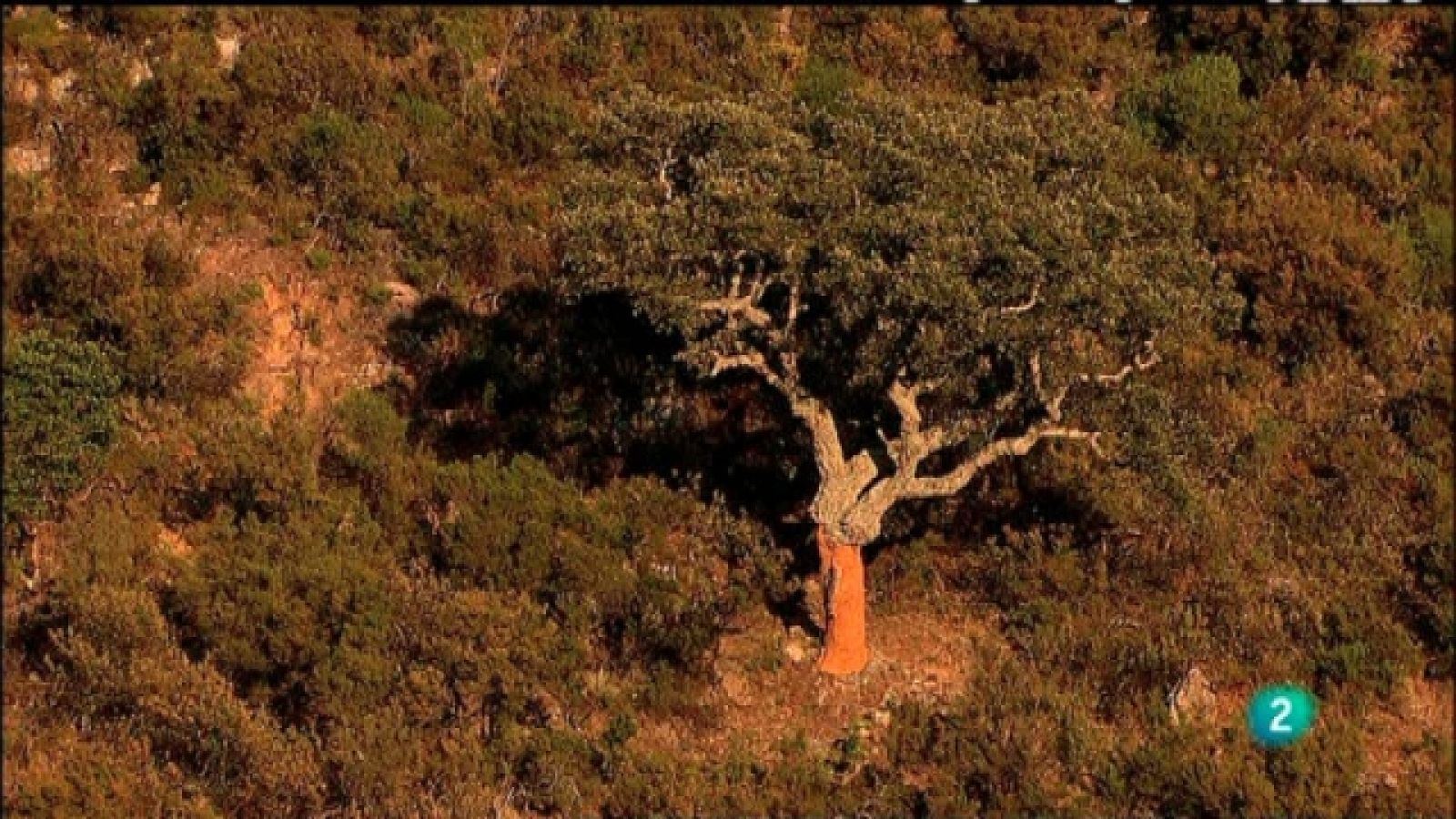 Biodiario - 18/04/11 - Ver ahora