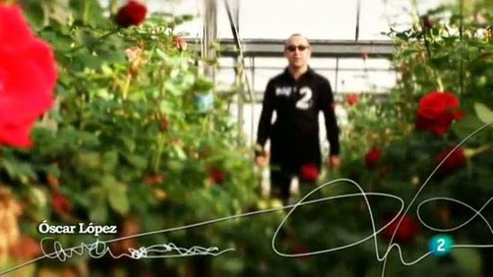 Página Dos - Diada de Sant Jordi