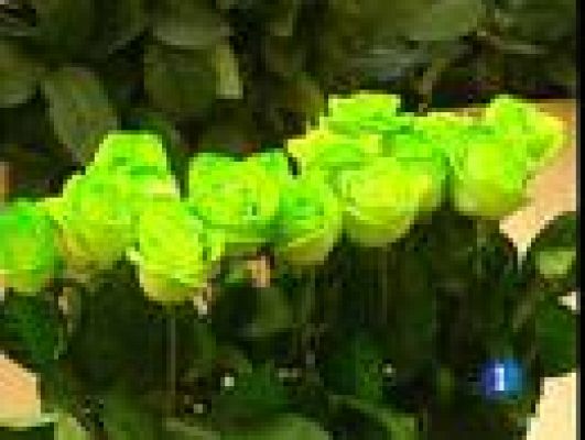 Telediario 1 - Este San Jordi se venderán un millón menos de rosas