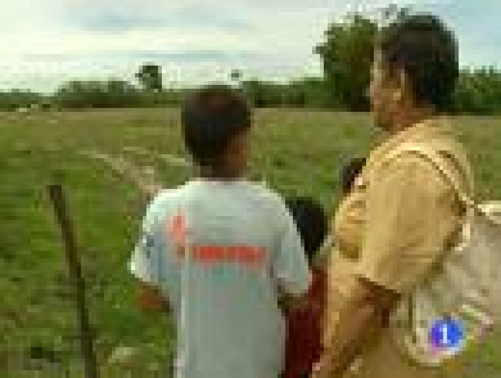 Después de 50 años de conflicto armado, Colombia intenta superar las heridas causadas por tanta violencia.