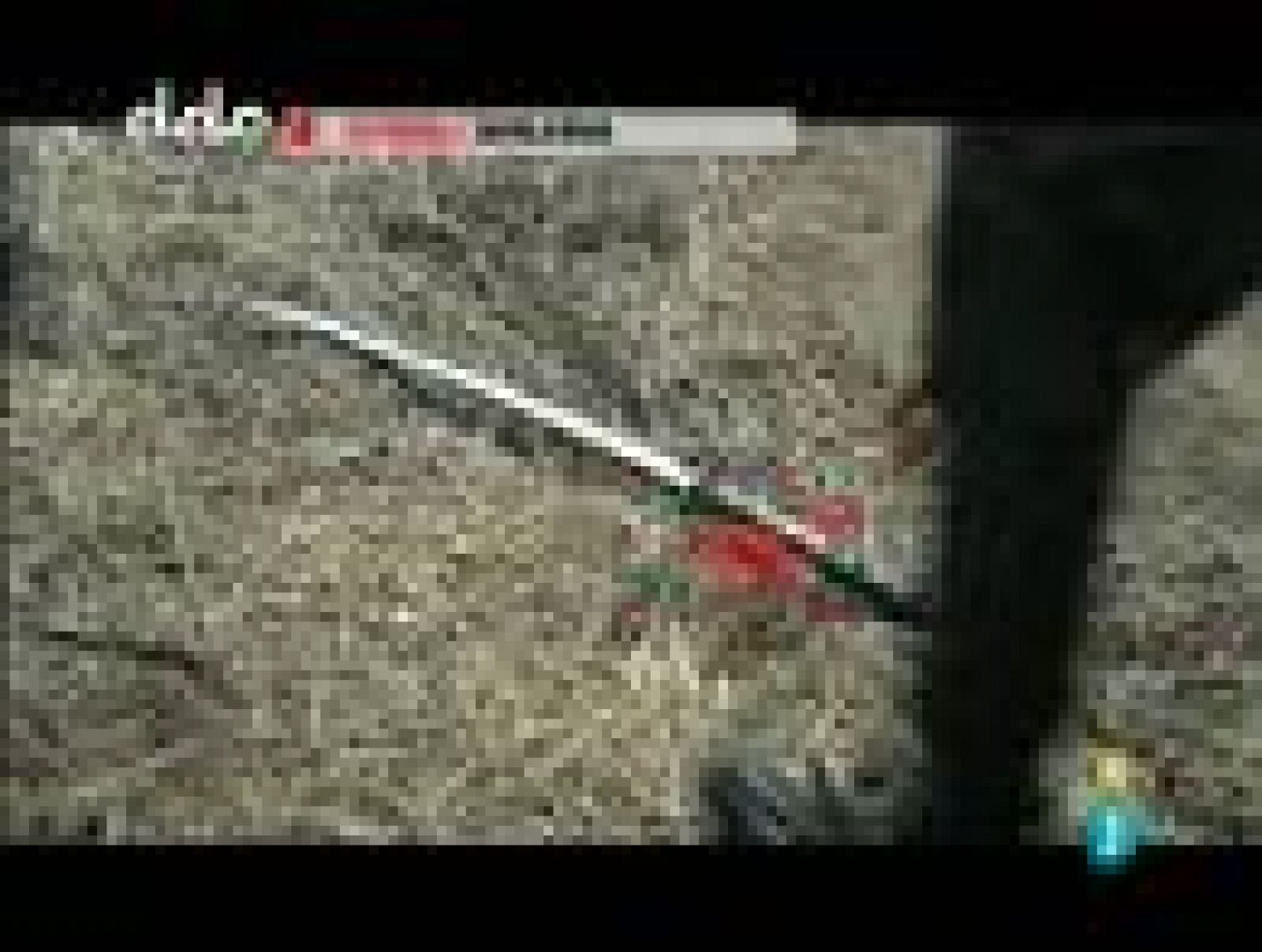 Días de cine: 'Águila Roja, la película' | Ver