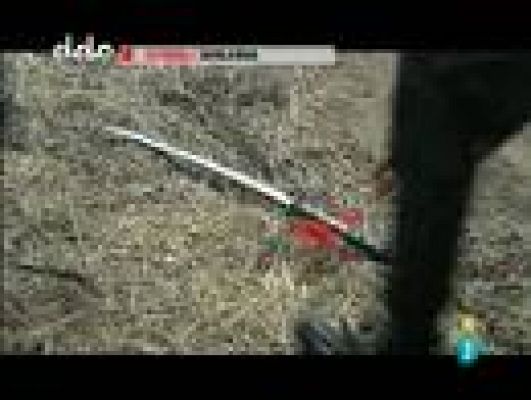 Días de cine - 'Águila Roja, la película'