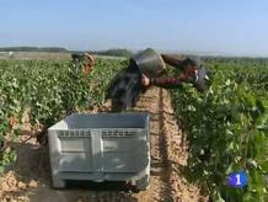 Informativo Telerioja - Telerioja en 2' - 26/04/11