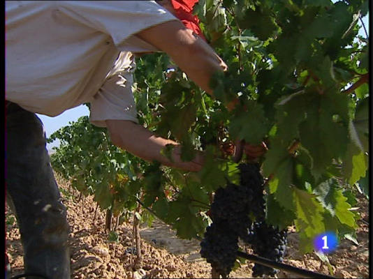 Informativo Telerioja - Informativo Telerioja - 26/04/11