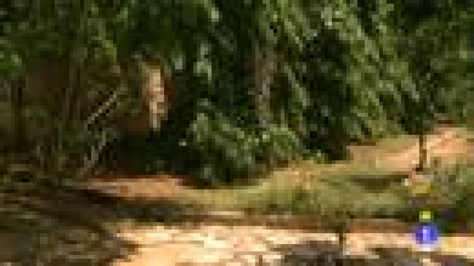 Españoles en el mundo - Ghana - Iolanda