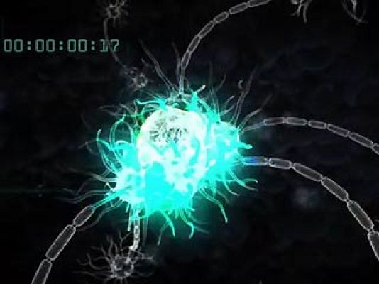 Ciencia y tecnología en Rtve.es - Nace Fecyt TV, una televisión para acercar la ciencia al gran público