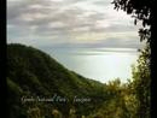 Cultura en Rtve.es - Tráiler de 'El viaje de Jane'