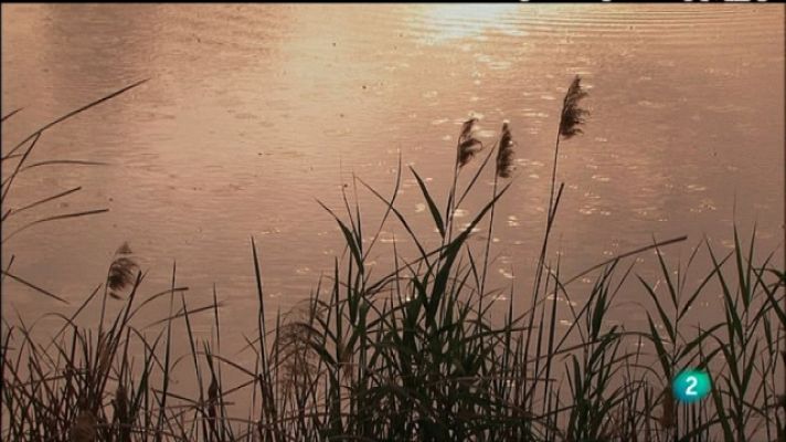 Biodiario - Biodiario - 28/04/11