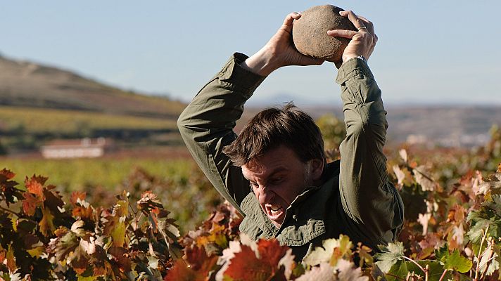 Gran Reserva - La vendimia