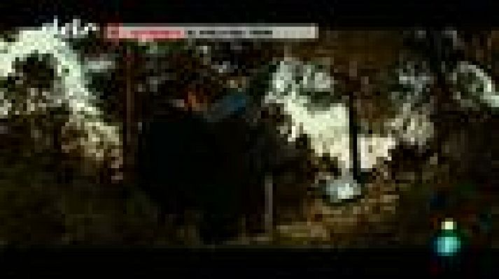 Días de cine - 'El vuelo del tren'