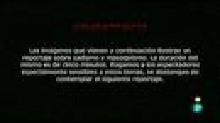 Días de cine - 'Año bisiesto'