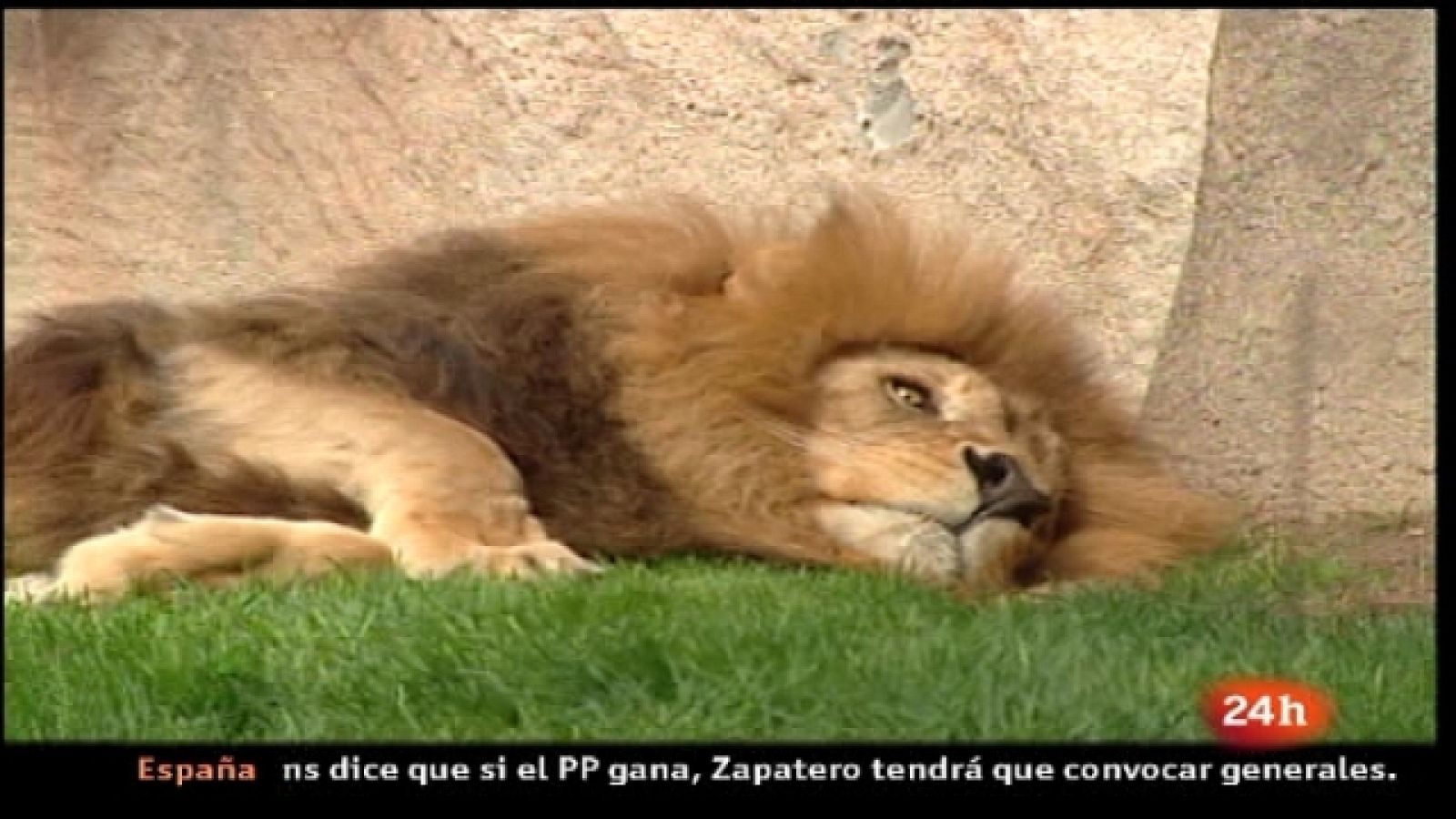 España en 24 horas - 29/04/11 - Ver ahora