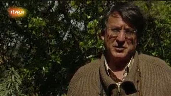 Crónicas - El hombre emboscado