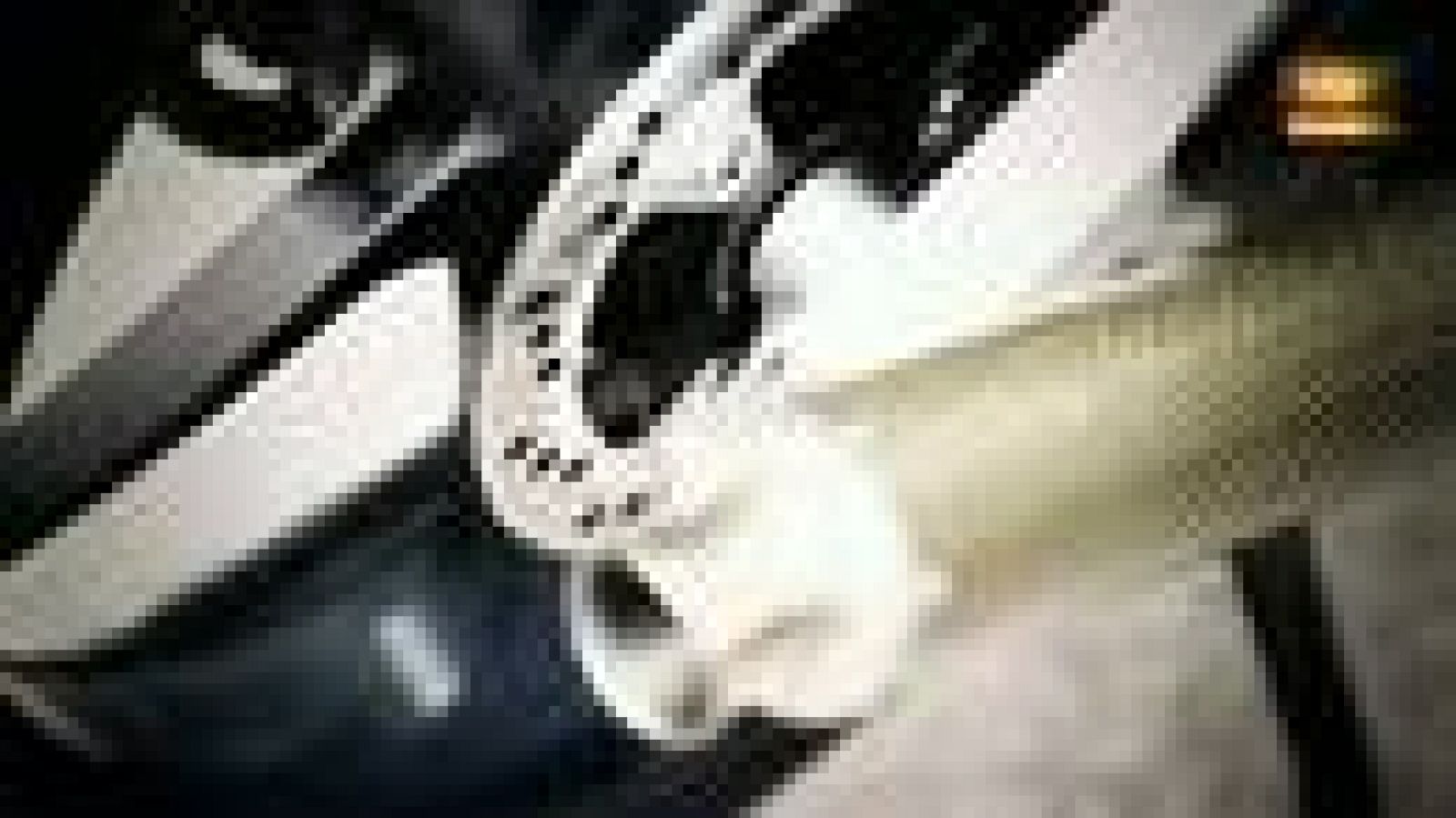 Jóvenes promesas de las motos | Ver