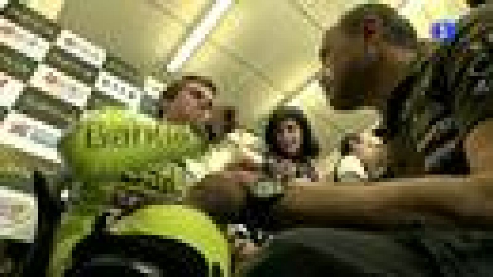 El otro 'idioma' del mundial | Ver