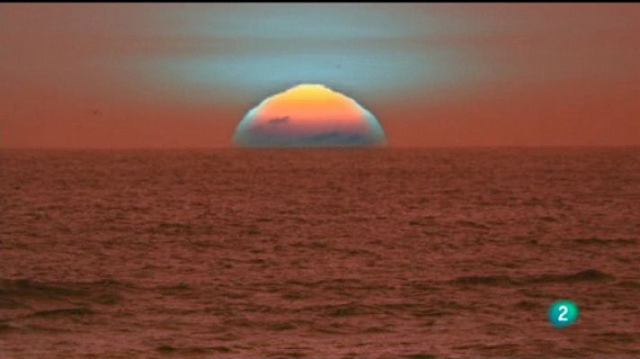 Todo el mundo es música - Canto a nosotros mismos