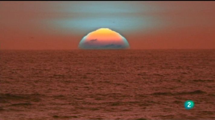 Todo el mundo es música - Canto a nosotros mismos