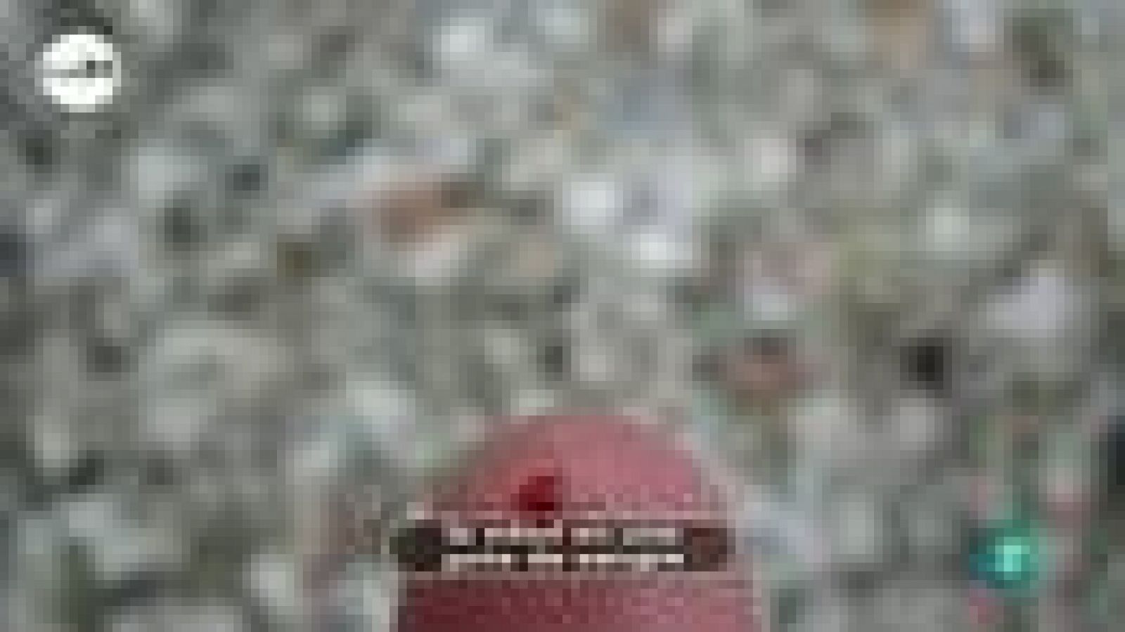 tres14 - curiosidades - la edad en una gota de sangre