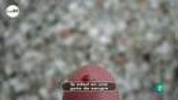 tres14 - la edad en una gota de sangre