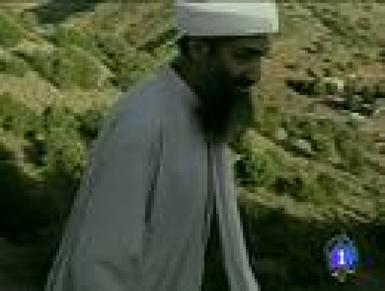 Sin programa: El final de Bin Laden | RTVE Play