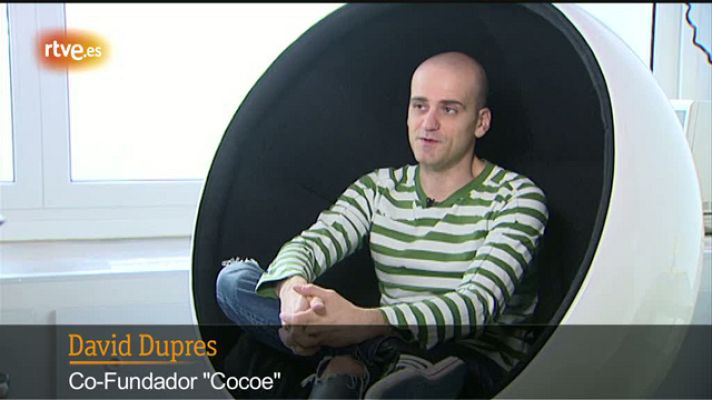 Zoom net - Estudio Cocoe
