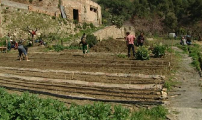 El escarabajo verde - Una "kasa" en las afueras 1ª parte