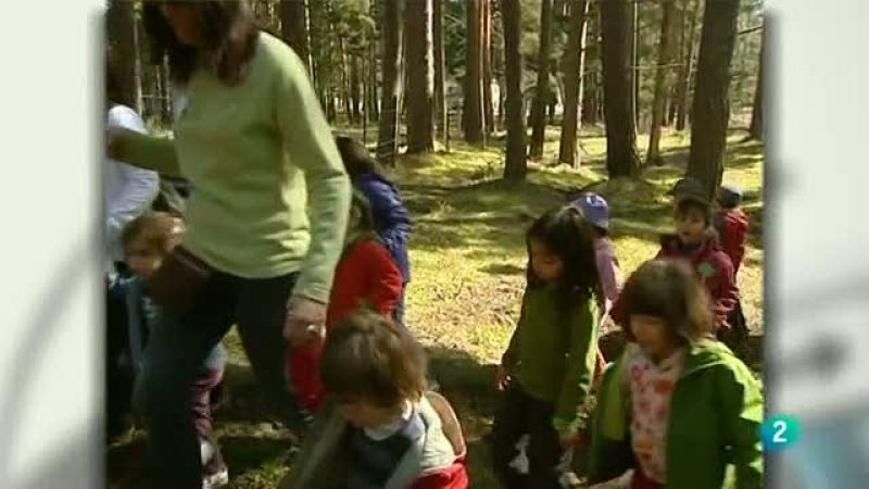 Para Todos La 2 - Salud infantil y medio ambiente 
