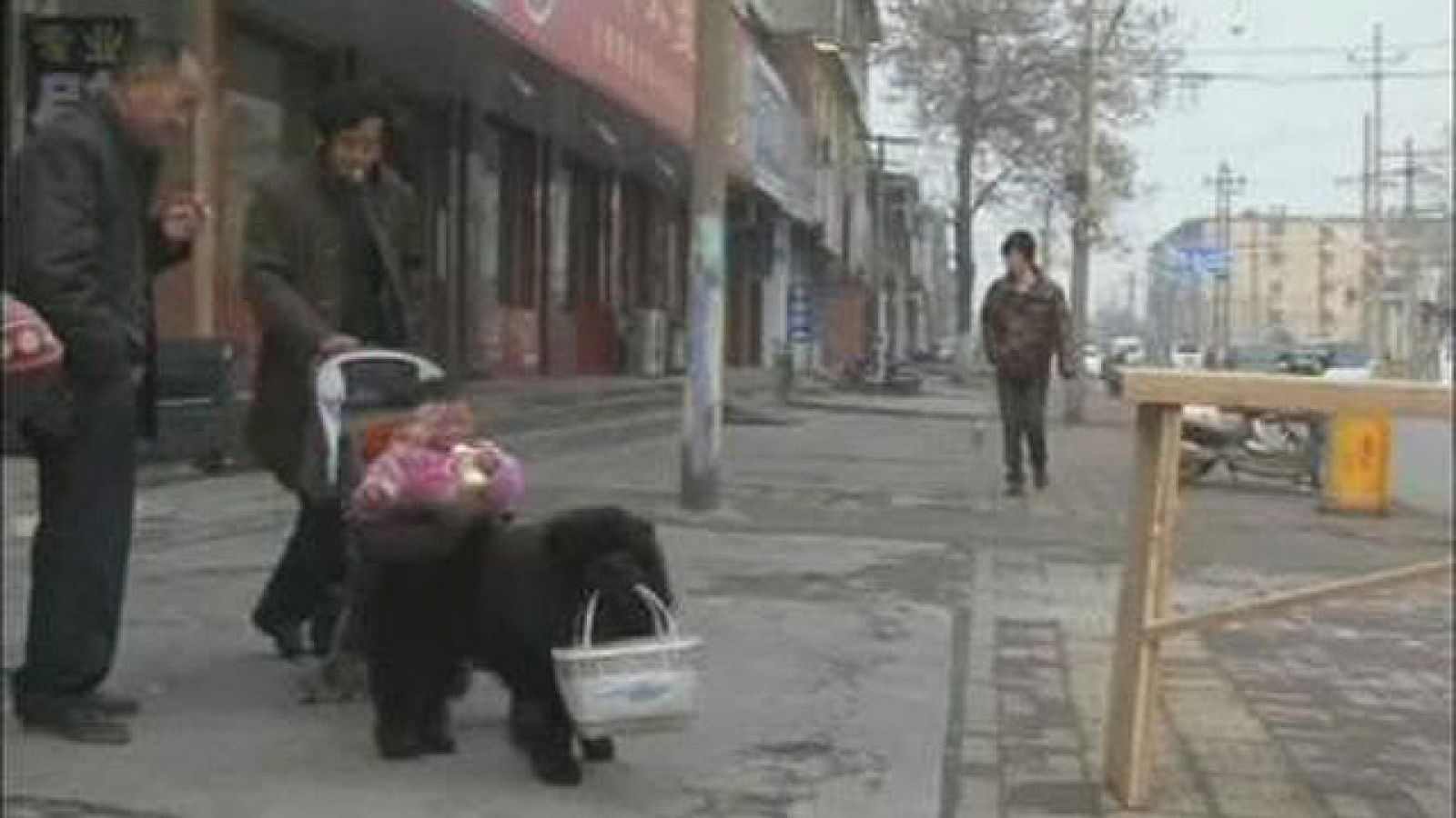 On Off: ¡Cómo está el servicio! - On Off | Ver