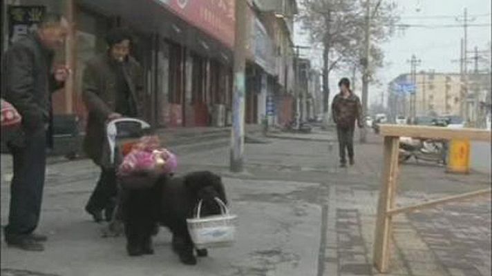 On Off - ¡Cómo está el servicio!