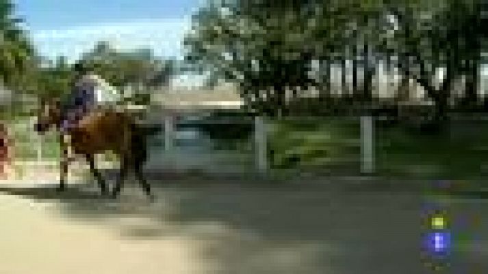 Españoles en el mundo - Uruguay - Raúl