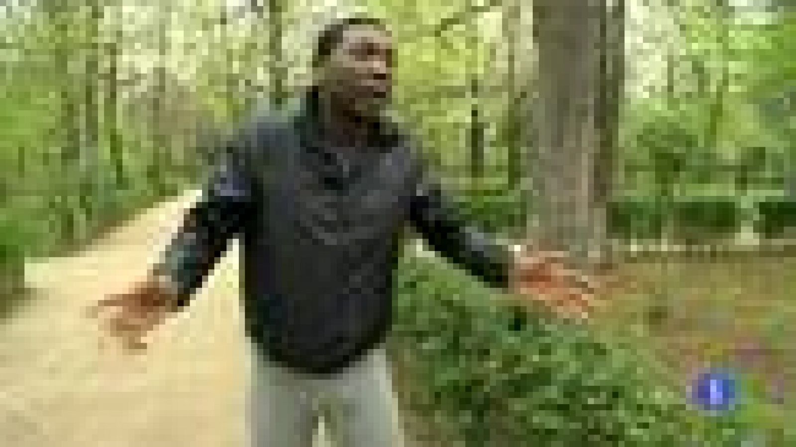 Destino España - Madrid IV -  Elton | Ver