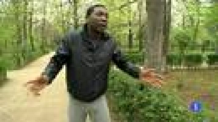 Destino: España - Madrid IV -  Elton