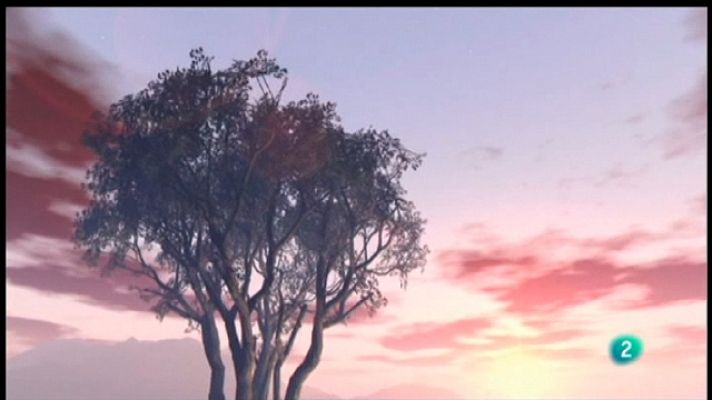 La aventura del Saber - La aventura del saber - 04/05/11